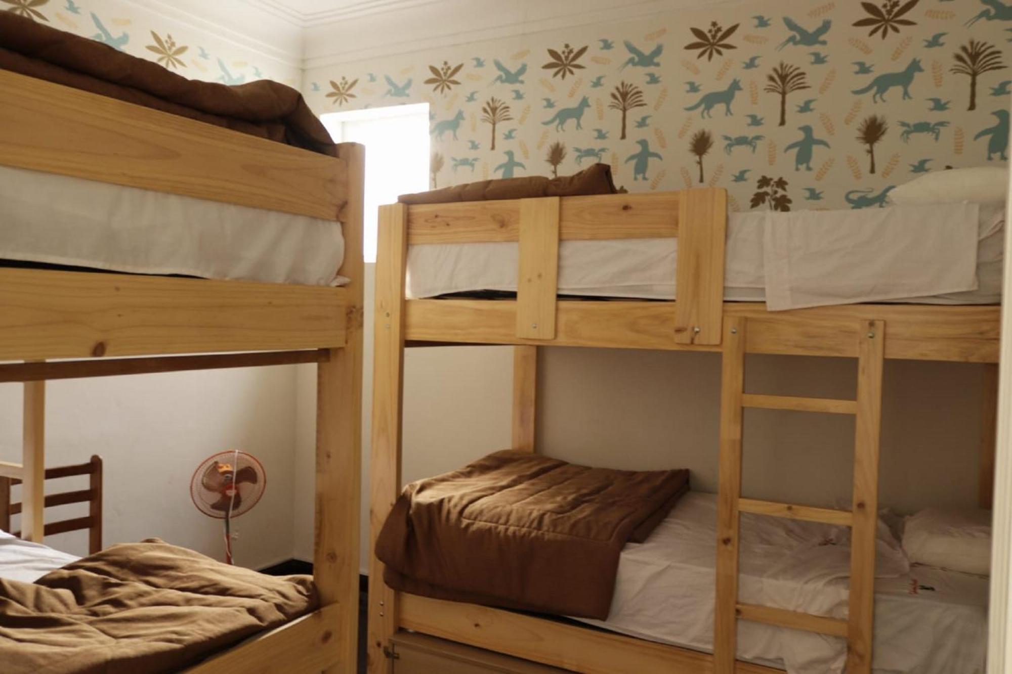 Quinoa Backpackers Hostel リマ エクステリア 写真