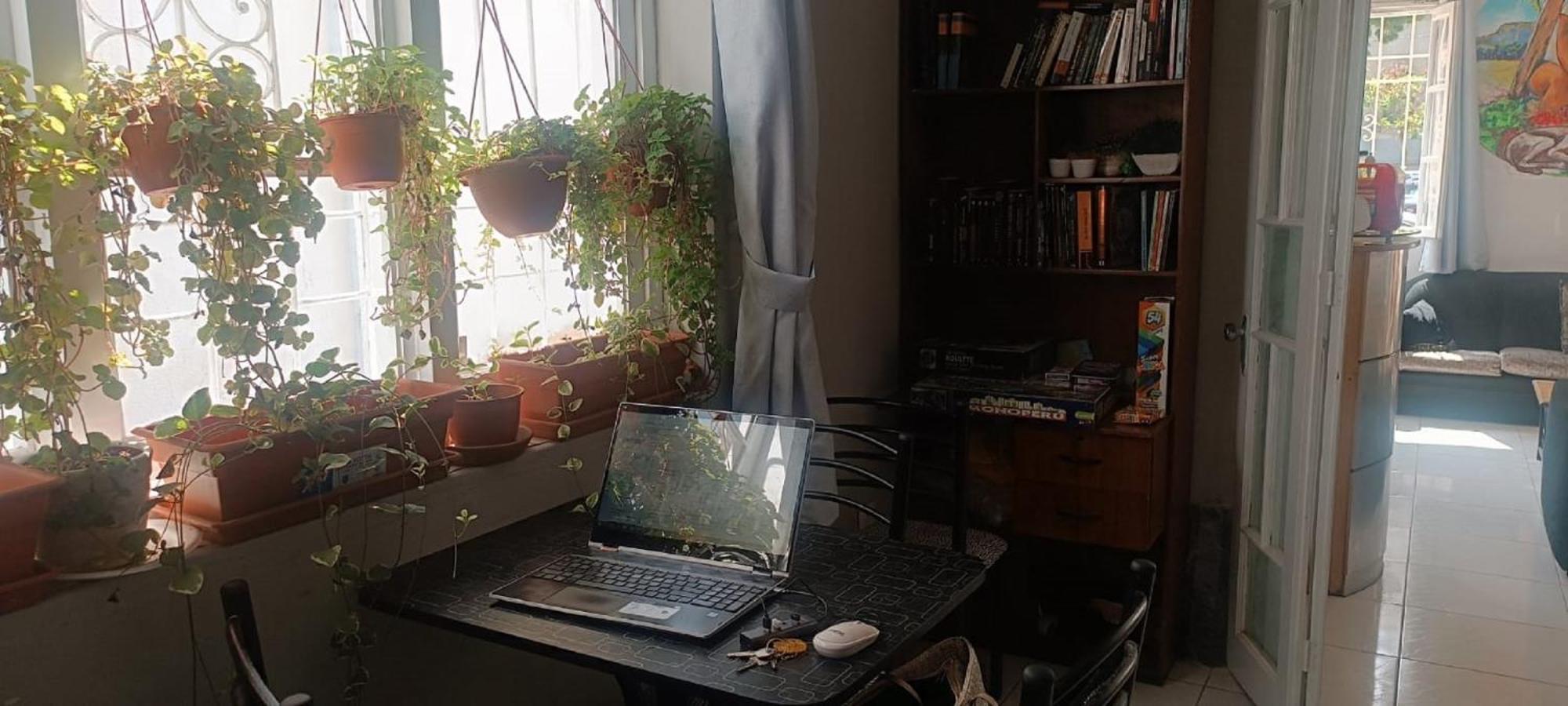 Quinoa Backpackers Hostel リマ エクステリア 写真