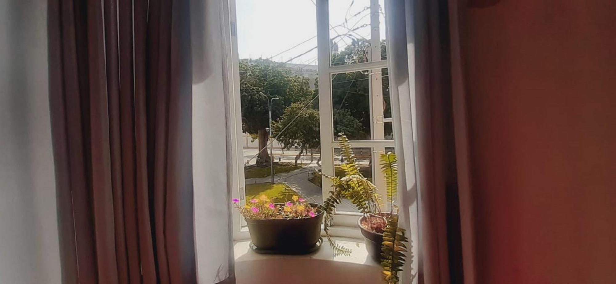 Quinoa Backpackers Hostel リマ エクステリア 写真