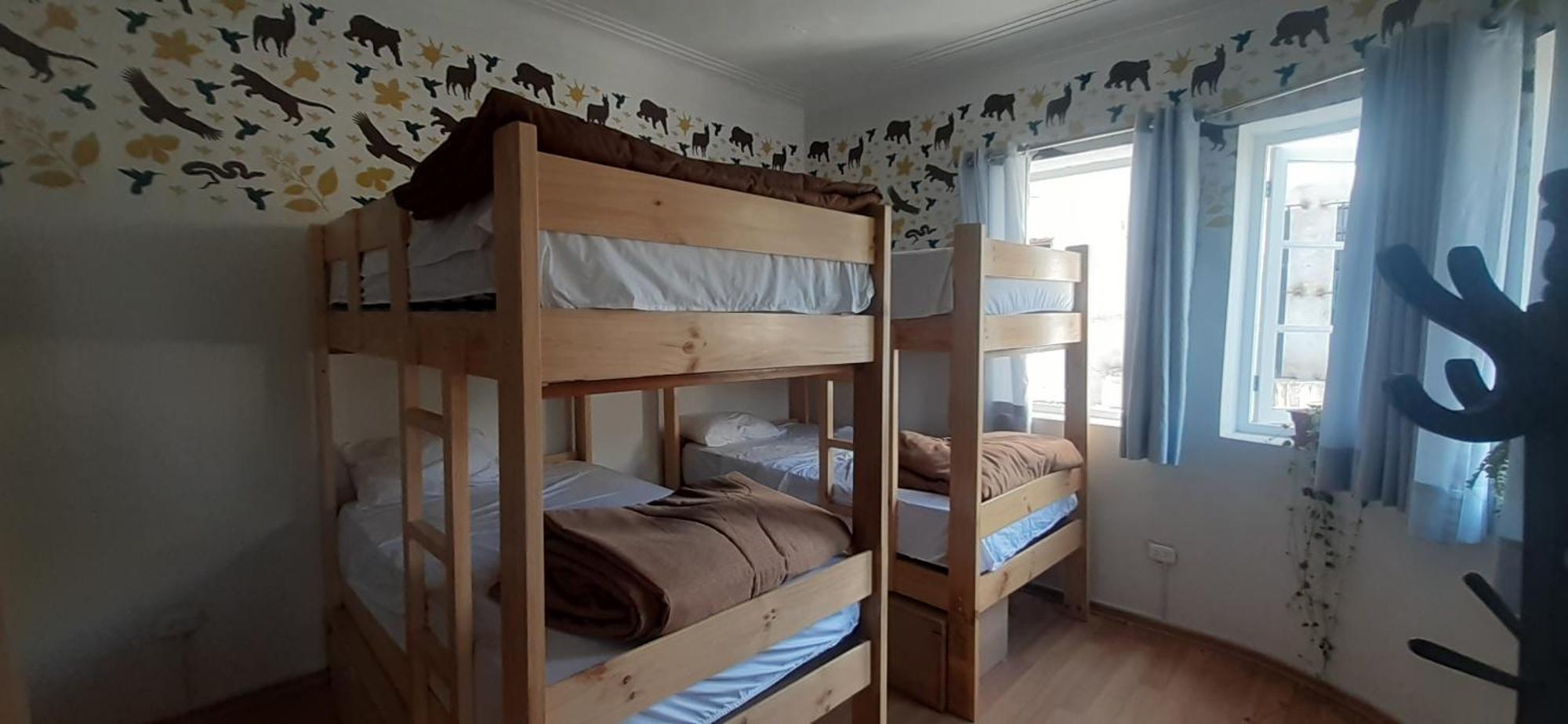 Quinoa Backpackers Hostel リマ エクステリア 写真